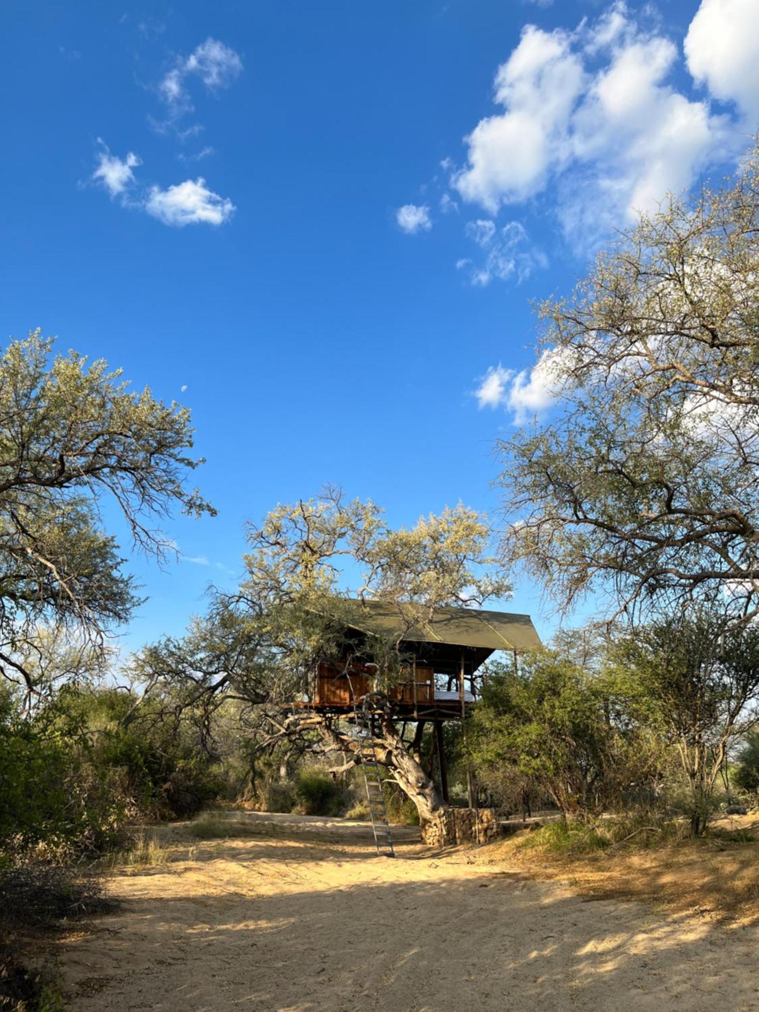 Ondudu Safari Lodge 奥马鲁鲁 外观 照片